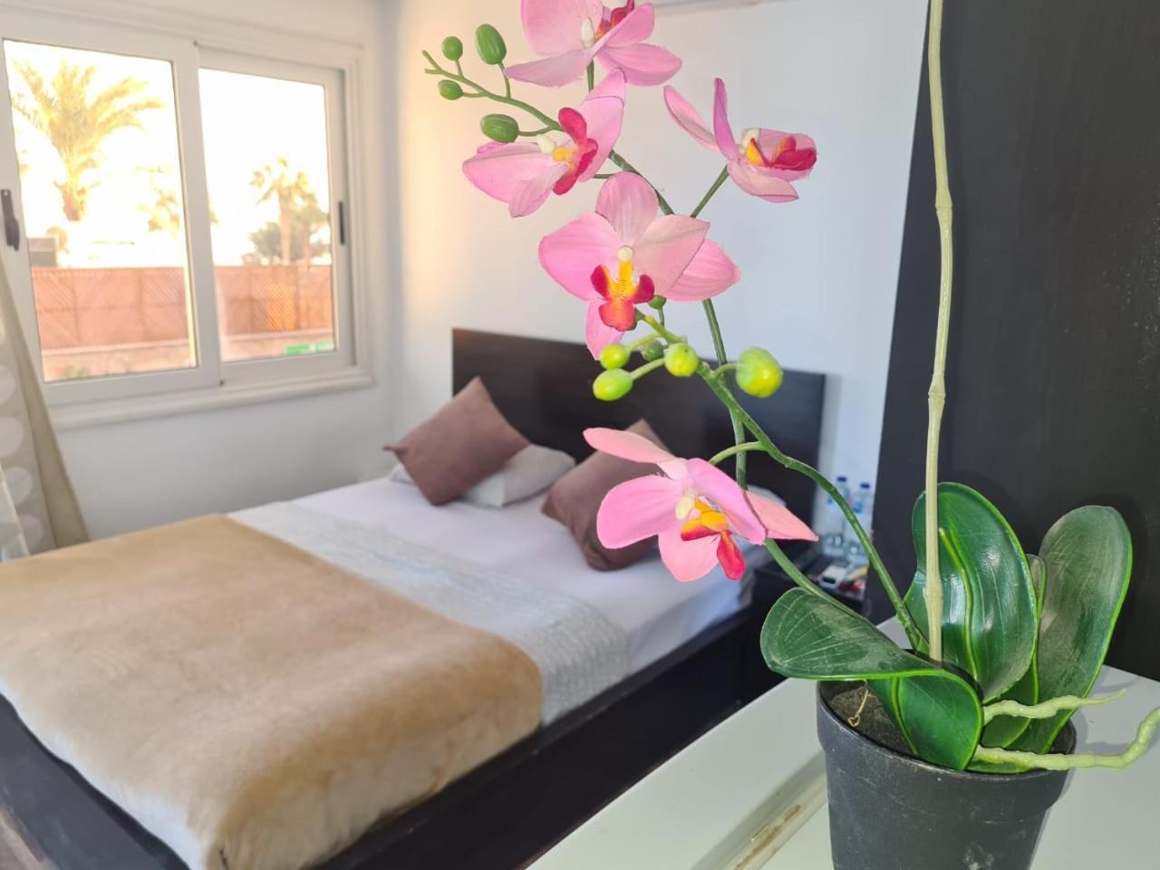 Lilly Rooms And Studio Hurghada Exterior foto